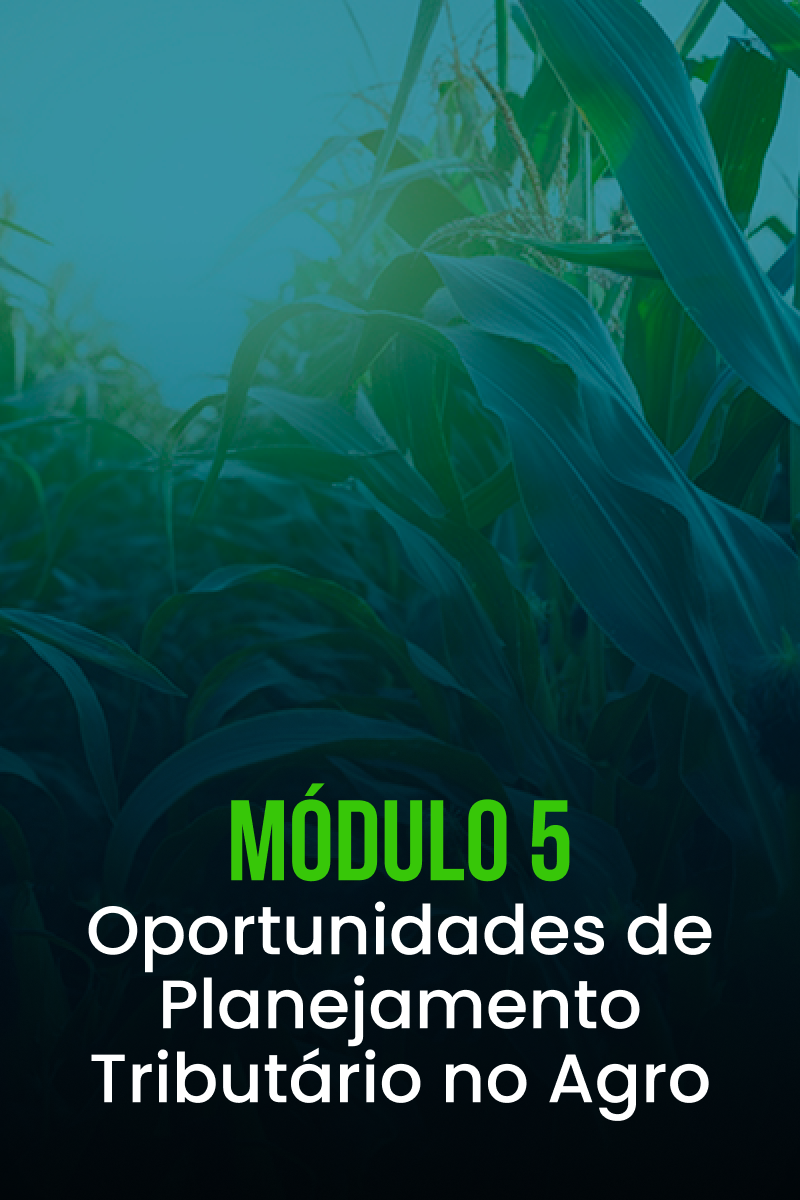 Módulo 5 — 13 Estratégias de Planejamento